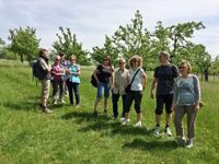 Wanderung zum &bdquo;Roten Haus&ldquo; nach Rockenberg im Mai 2016_1